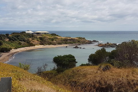 Cruise Ship Excursion: NW Tassie Coastal Explorer - Accommodation Gold Coast 13