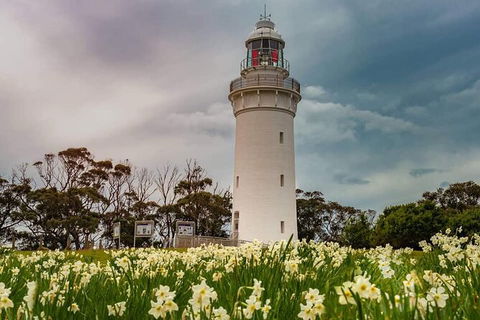 Table Cape Lighthouse Tours - Accommodation Gold Coast 7