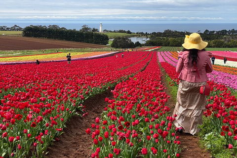 Table Cape Lighthouse Tours - Accommodation Gold Coast 0