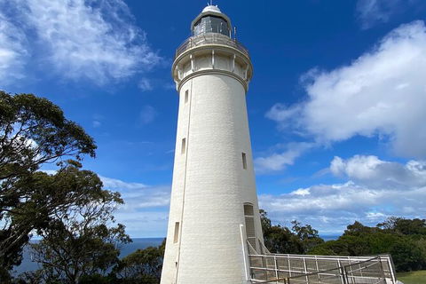 Table Cape Lighthouse Tours - Accommodation Gold Coast 4