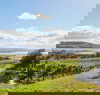 Launceston Wine  Sightseeing Tours - Accommodation Gold Coast