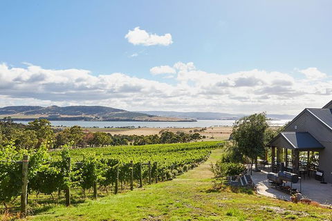 Launceston Wine & Sightseeing Tours - Accommodation Gold Coast 0