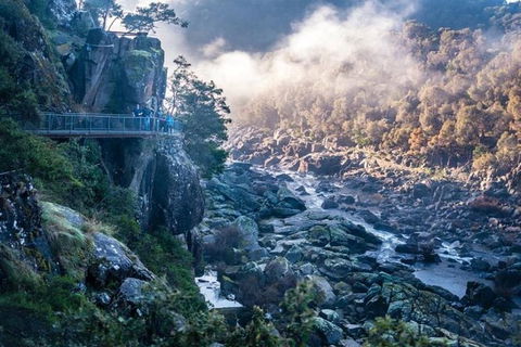 3.5 Hours Walking Tour To Cataract Gorge With Local Guide - Accommodation Gold Coast 0