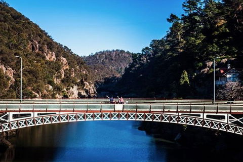 3.5 Hours Walking Tour To Cataract Gorge With Local Guide - Accommodation Gold Coast 5