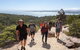 Half-Day Tour To Wineglass Bay From Launceston With Guide - thumb 4