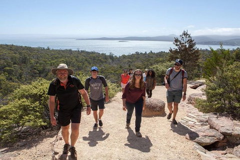 Half-Day Tour To Wineglass Bay From Launceston With Guide - Accommodation Gold Coast 4