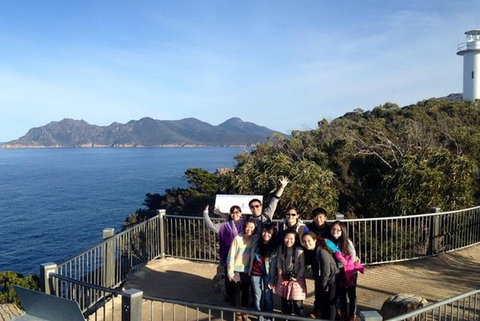 Half-Day Tour To Wineglass Bay From Launceston With Guide - Accommodation Gold Coast 3