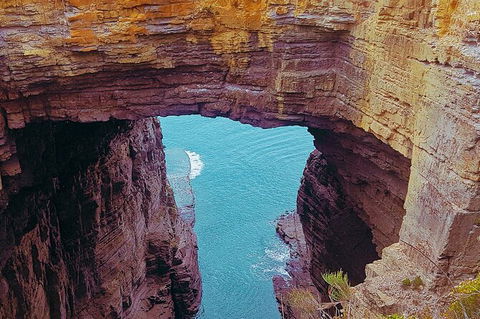 4-Day Fabulous Tasmania Tour: Wineglass Bay, Port Arthur, Devils & Bruny Island - Accommodation Gold Coast 6