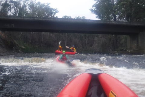 Twin Rivers Winter Adventure - Accommodation Gold Coast 4