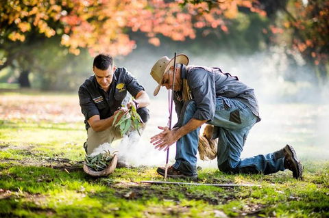 Aboriginal Heritage Walk - Royal Botanic Gardens Victoria, Melbourne Gardens - Accommodation Gold Coast 0