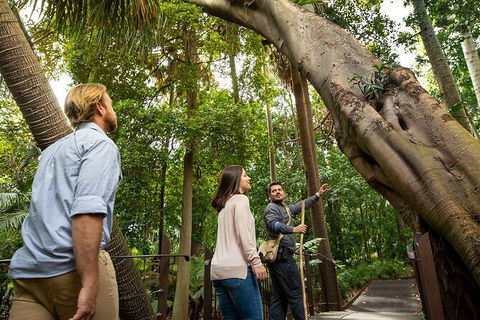 Aboriginal Heritage Walk - Royal Botanic Gardens Victoria, Melbourne Gardens - Accommodation Gold Coast 1