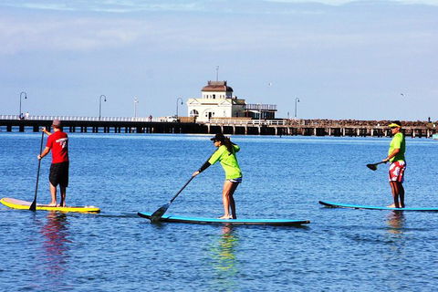 Private Stand-Up Paddle Board Lesson At St Kilda - Accommodation Gold Coast 0
