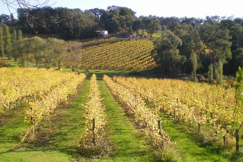 Macedon Ranges Winery Tour From Melbourne - Accommodation Gold Coast 1