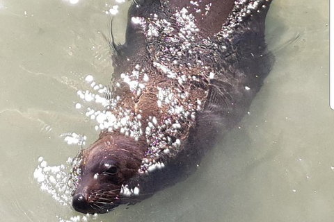 Warrnambool Wanderer Tour - Accommodation Gold Coast 5