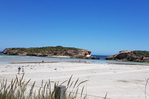 Warrnambool Wanderer Tour - Accommodation Gold Coast 1