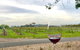 Cycle Tour | Guided | Bellarine Peninsula Victoria | Food & Wine Region - thumb 2