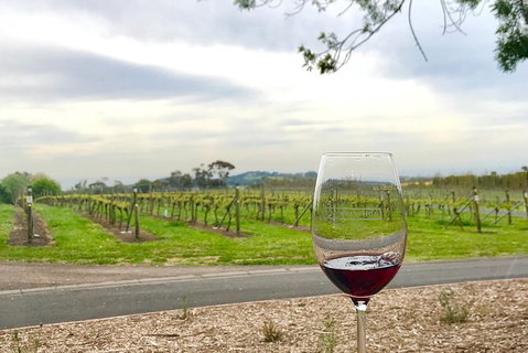 Cycle Tour | Guided | Bellarine Peninsula Victoria | Food & Wine Region - Accommodation Gold Coast 2