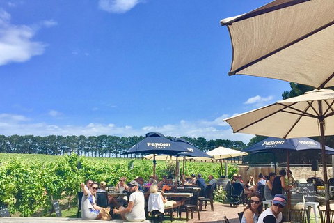 Cycle Tour | Guided | Bellarine Peninsula Victoria | Food & Wine Region - Accommodation Gold Coast 3