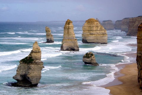 LGBT+ Friendly 2 Day Private Tour Great Ocean Road + Phillip Island - Accommodation Gold Coast 0