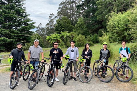 Aqueduct And Rail Trail Self-Guided Bike Tour In Warburton - Accommodation Gold Coast 0