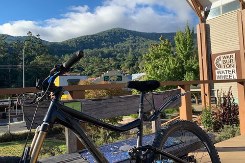 Aqueduct And Rail Trail Self-Guided Bike Tour In Warburton - Accommodation Gold Coast 2