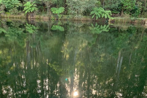 Hiking Tour To Aqueduct And Warburton Valley Lookout - Accommodation Gold Coast 2