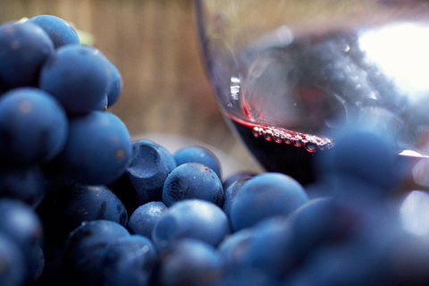 Mornington Peninsula 2-6 Guests Lunch, Wine And Pt Leo Estate Art Walk - 1 Gold Coast 7