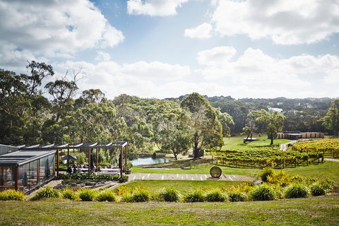 Mornington Peninsula 2-6 Guests Lunch, Wine And Pt Leo Estate Art Walk - 1 Gold Coast 2