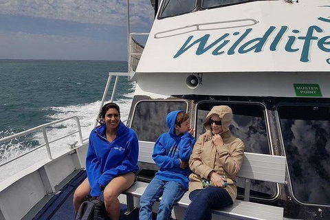 Phillip Island Penguin And Wildlife Tour - Accommodation Gold Coast 15
