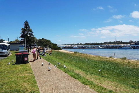 Phillip Island Penguin And Wildlife Tour - Accommodation Gold Coast 25