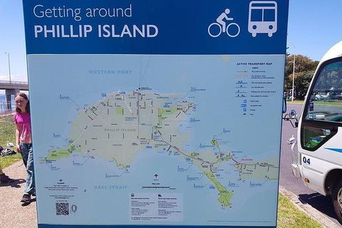 Phillip Island Penguin And Wildlife Tour - Accommodation Gold Coast 28