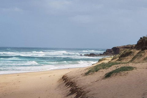 Phillip Island Penguin And Wildlife Tour - Accommodation Gold Coast 10