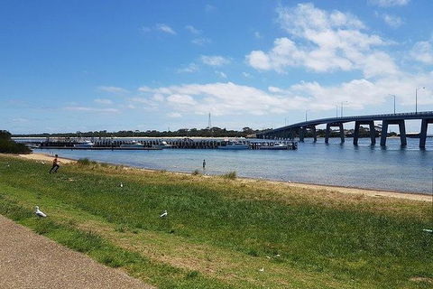Phillip Island Penguin And Wildlife Tour - Accommodation Gold Coast 24