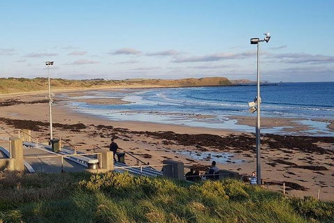 Phillip Island Penguin And Wildlife Tour - Accommodation Gold Coast 8