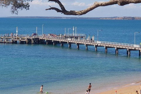 Phillip Island Penguin And Wildlife Tour - Accommodation Gold Coast 2