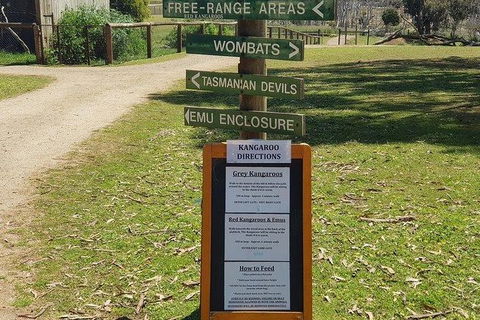 Phillip Island Penguin And Wildlife Tour - Accommodation Gold Coast 4