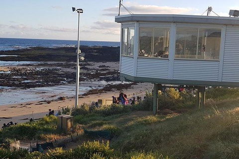 Phillip Island Penguin And Wildlife Tour - Accommodation Gold Coast 33