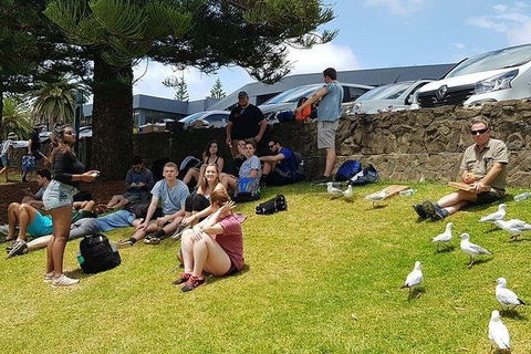 Phillip Island Penguin And Wildlife Tour - Accommodation Gold Coast 22