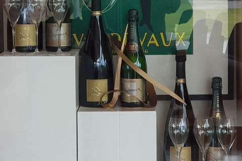 Yarra Valley Wine Tasting Day Tour From Melbourne - Accommodation Gold Coast 2