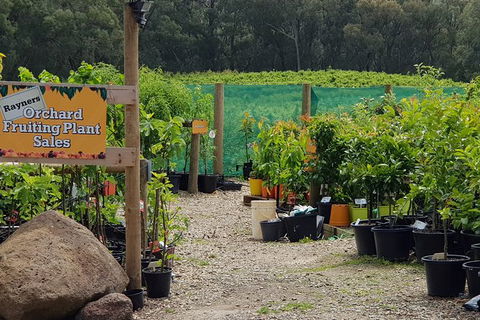 Yarra Valley Wineries And Rayners Orchard Tour From Melbourne - Accommodation Gold Coast 0