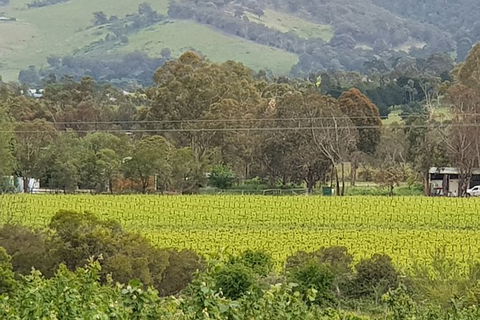 Day Tour Of Yarra Valley Puffing Billy And Rayners Orchard - Accommodation Gold Coast 44