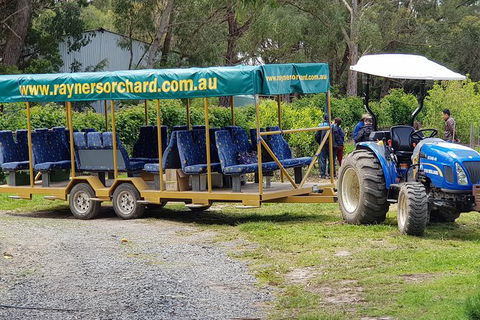 Day Tour Of Yarra Valley Puffing Billy And Rayners Orchard - Accommodation Gold Coast 48