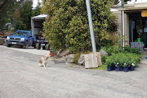 Day Tour Of Yarra Valley Puffing Billy And Rayners Orchard - Accommodation Gold Coast 6