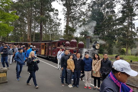Day Tour Of Yarra Valley Puffing Billy And Rayners Orchard - Accommodation Gold Coast 9