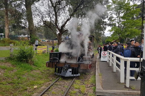 Day Tour Of Yarra Valley Puffing Billy And Rayners Orchard - Accommodation Gold Coast 43