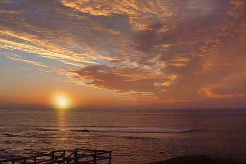 Half Day Wine & Food Tour - Accommodation Gold Coast 1