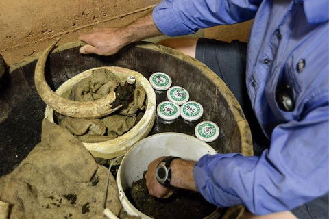 Half Day Wine & Food Tour - Accommodation Gold Coast 5