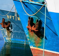 Photography Tour of Historical Fremantle and Street Art. - Accommodation Gold Coast