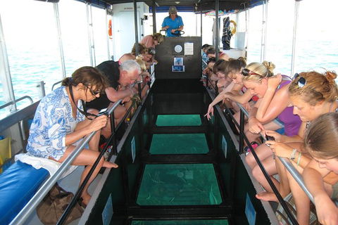 Coral Bay 1-Hour Coral Viewing - Accommodation Gold Coast 3