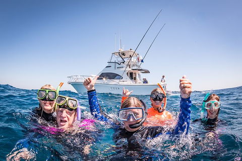 Life On Ningaloo Swimming Tour In Exmouth - 1 Gold Coast 4